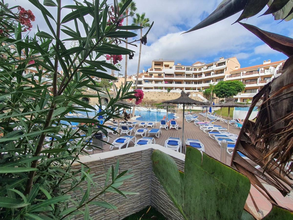 Brand New Apartment In Park Albatros With Pool View San Miguel de Abona Bagian luar foto